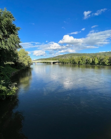 The Susquehanna River from Confluence Park - Binghamton, NY